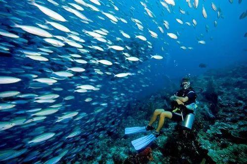 260万珍贵文物流入法国,这些国宝级文物经历了怎样的浩劫?