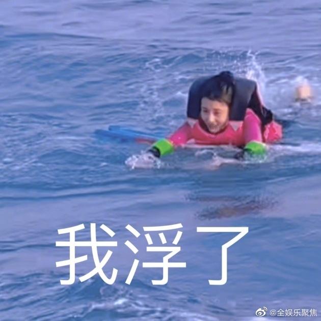 小猫钓鱼开船版最新版下载