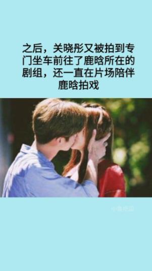 拯救机灵鸟