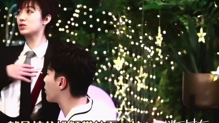 小猫钓鱼正版下载中文版