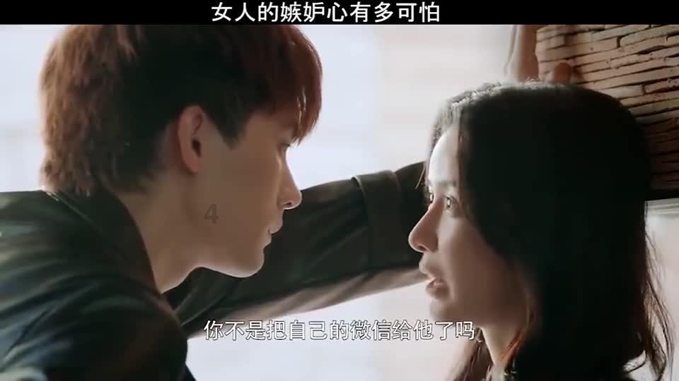 救援采蜜人