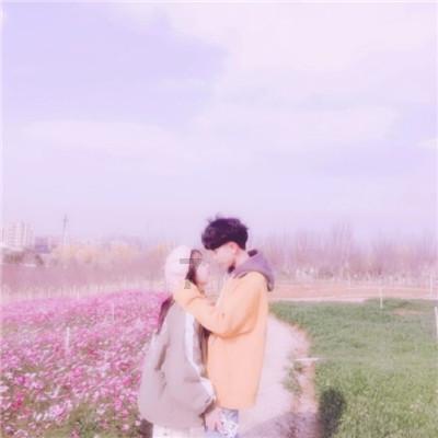 寻找火鸡
