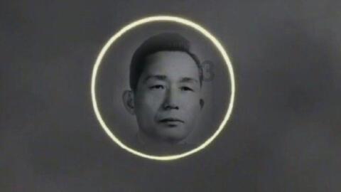国家魔法森林逃亡