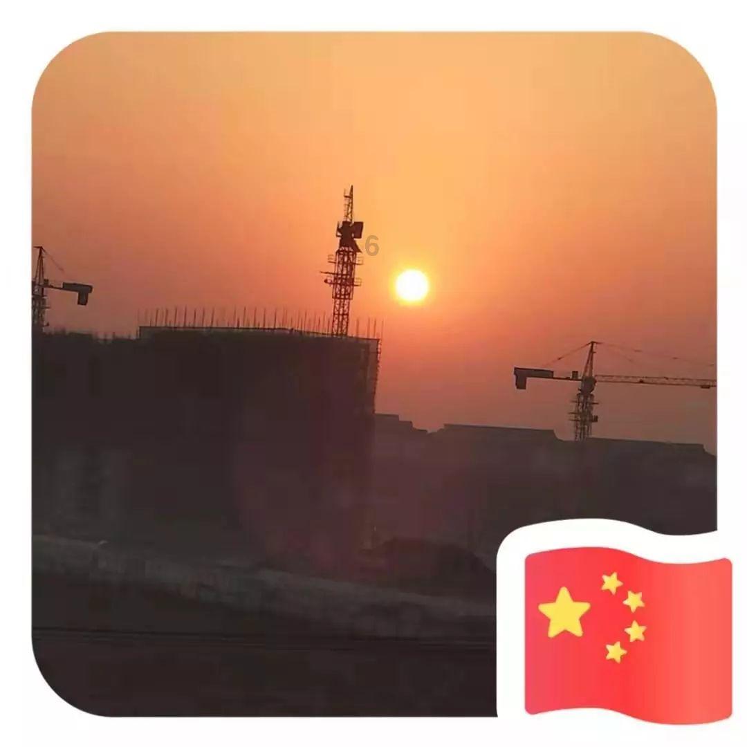 海口市美兰区政协委员崔茂毅:因地制宜发展东寨港红树林观鸟旅游产业