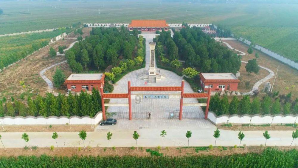 探索ITP诊断标准:准确判定自身免疫疾病的重要依据