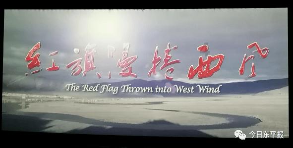 月光影视