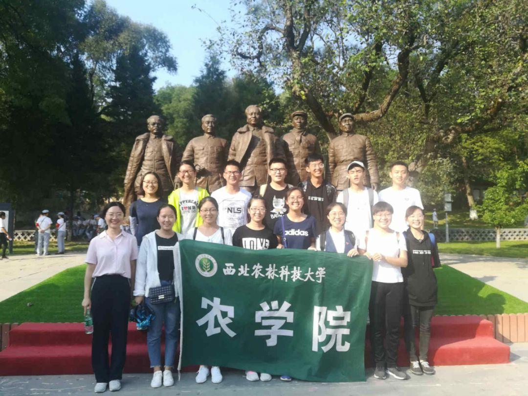养发3年头发厚了三倍!这些方法适合大部分脱发友友!速看不亏!