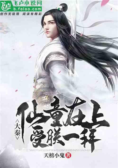 救援猫与武士