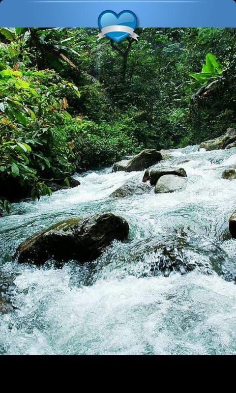 逆水寒