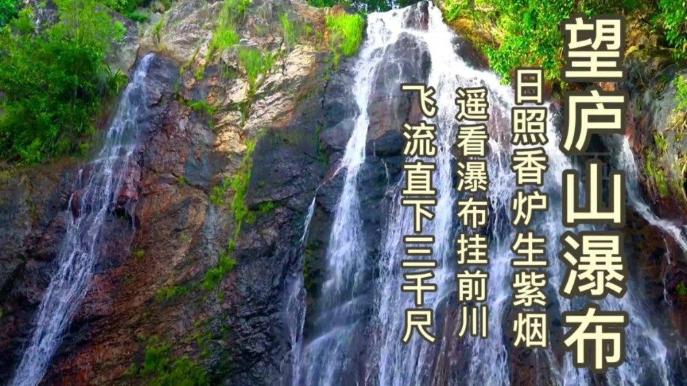 全村的希望