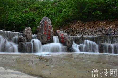 动物帮帮忙保卫家园