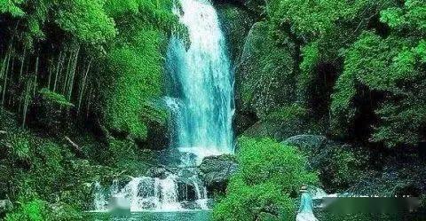 孤岛惊魂原始杀戮