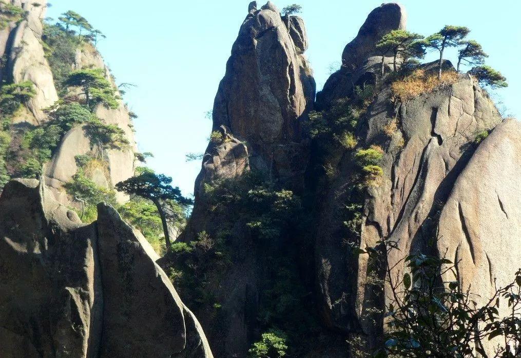 虫虫助手下载
