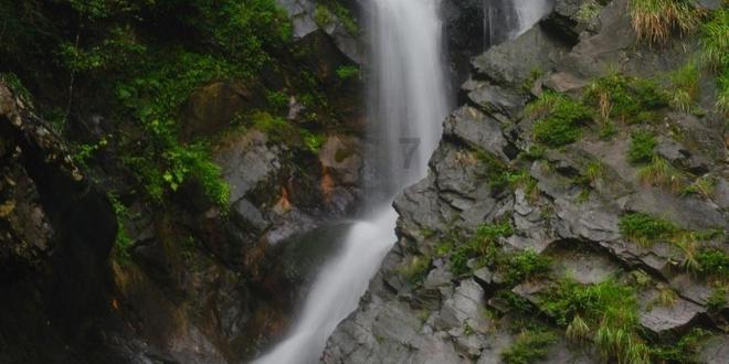 荒岛枪训