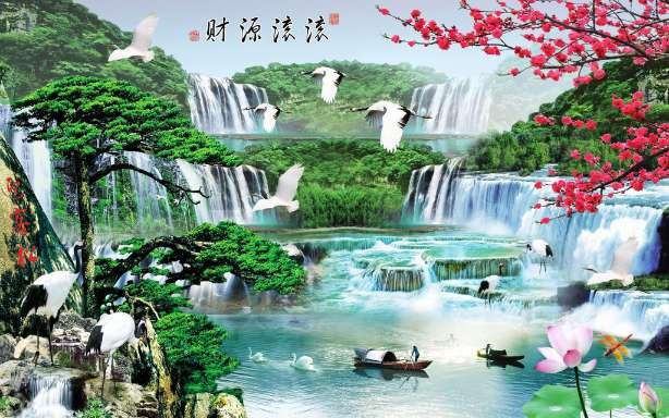 救援医学院学生