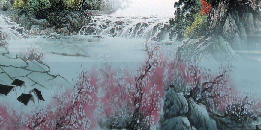 春雨直播app