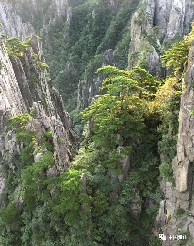 逃离金色的沙漠