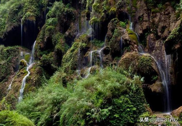 苹果和梨研发成乳酸菌免费饮料的口感如何？会得到市场的认可吗