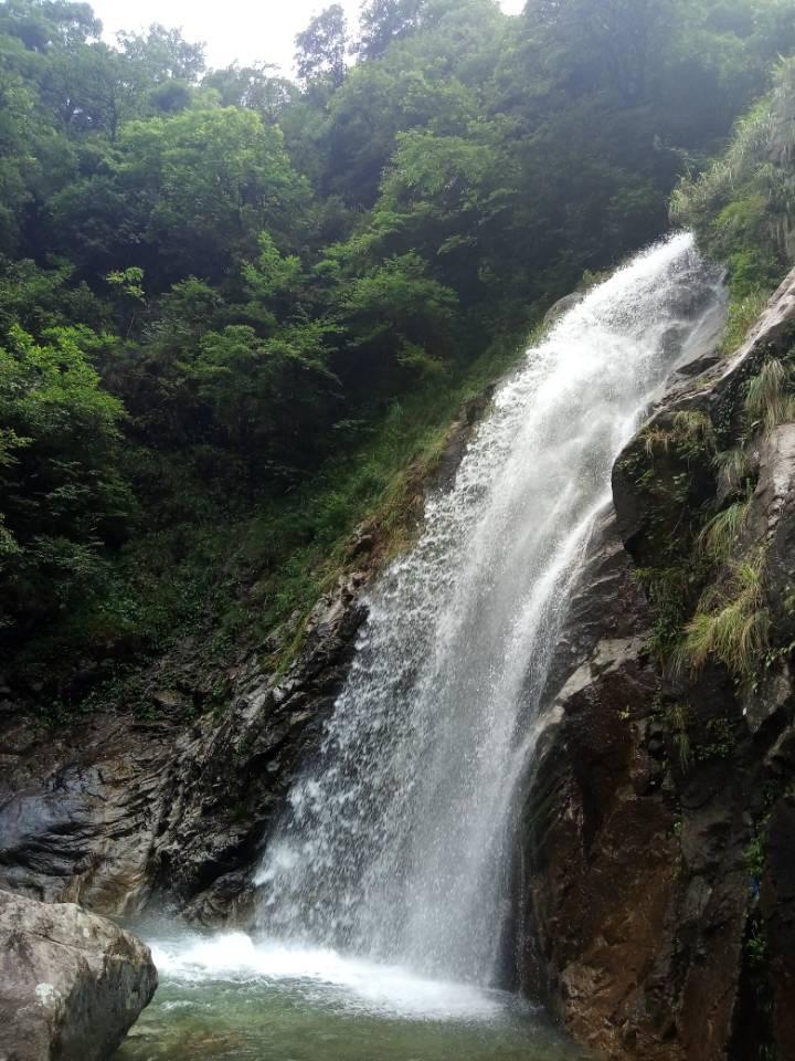 虫虫助手下载