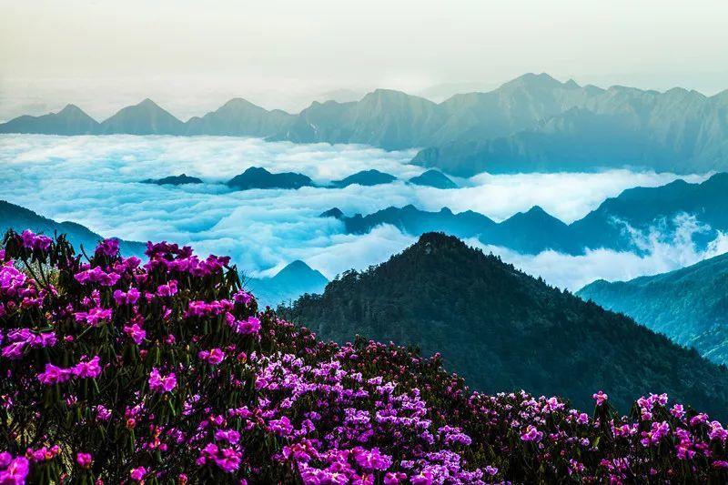 深挖洞广积粮，不称霸，领导人实在是高瞻远瞩，真是让人佩服游戏画面