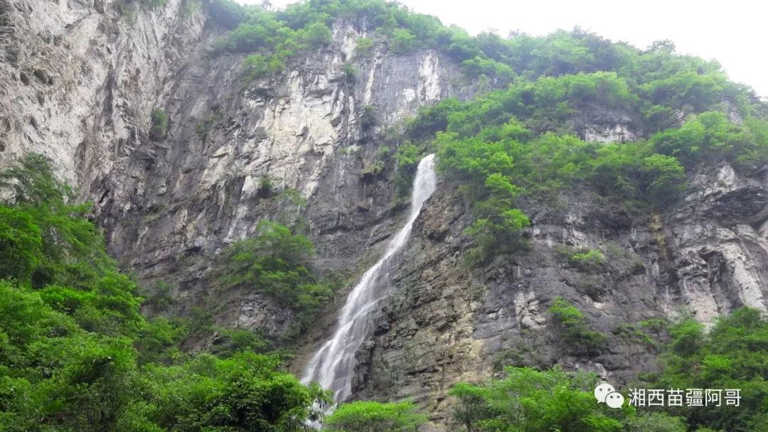 逃离仿真森林