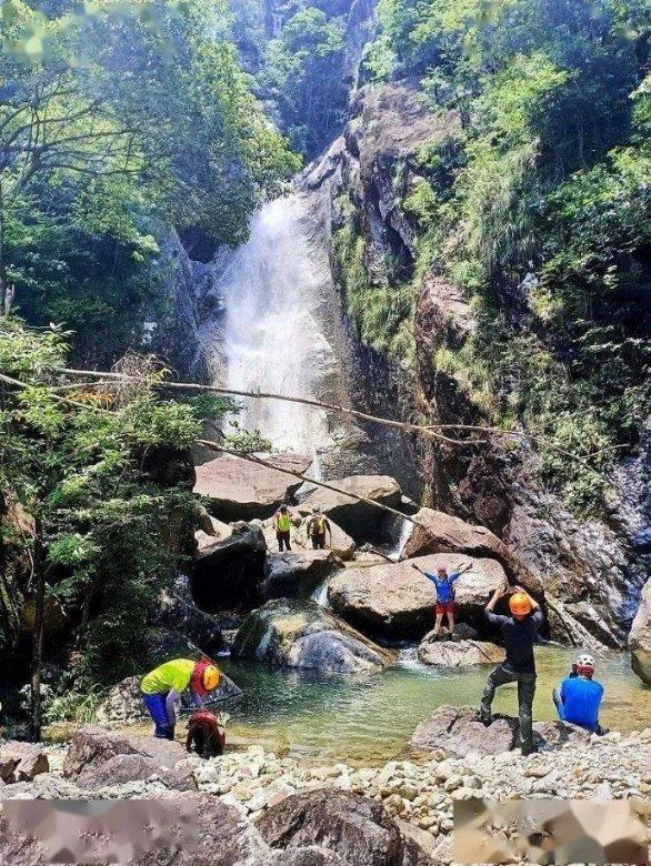 雍正皇帝的五大重臣,个个身居高位,下场却不尽相同