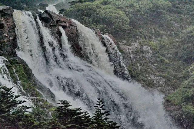 春雨直播app