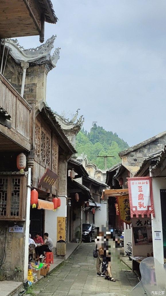 春雨直播app