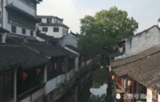 蝴蝶兰的繁殖方法和栽培技术游戏画面