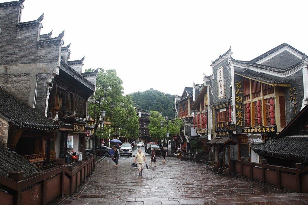 春雨直播app