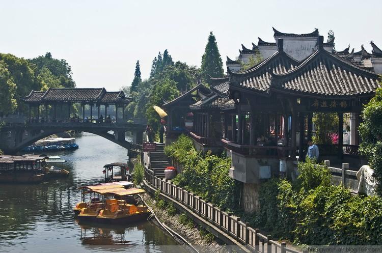 细胞分裂6