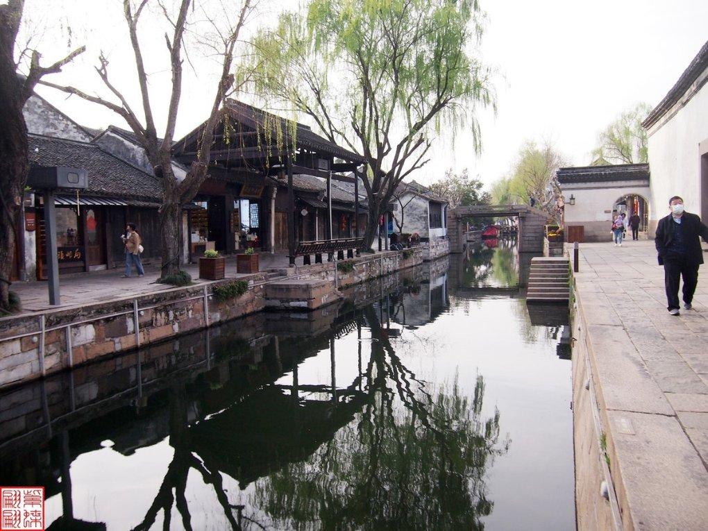 救援小肥兔