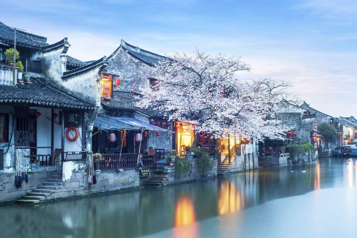 燃烧吧大脑免广告最新版
