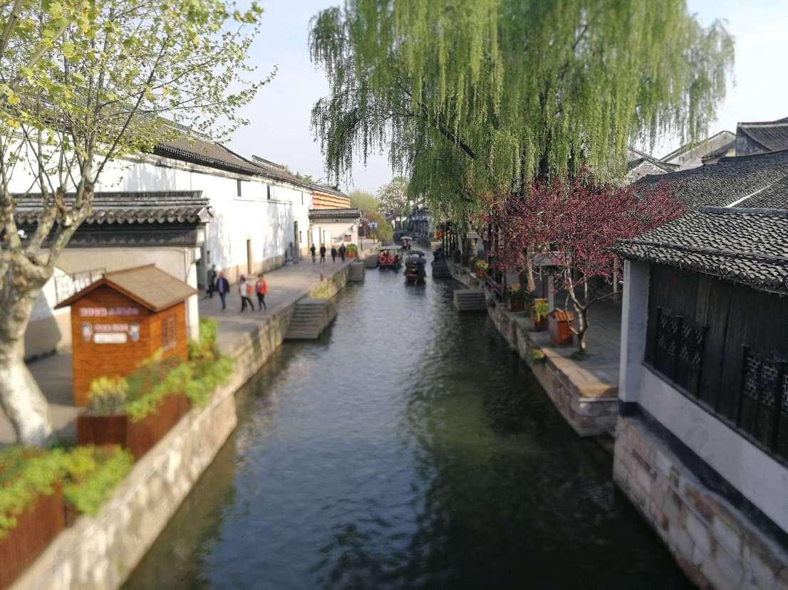 五彩鹦鹉救援