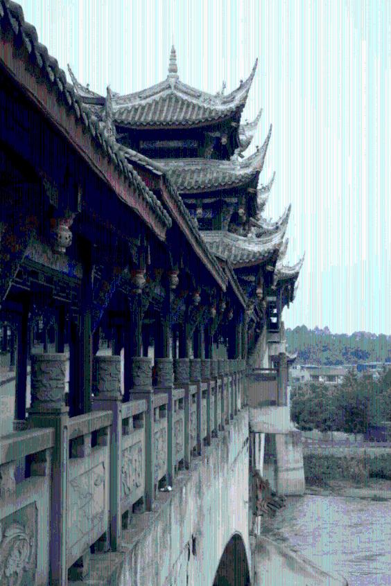 逃离大犀牛出没地
