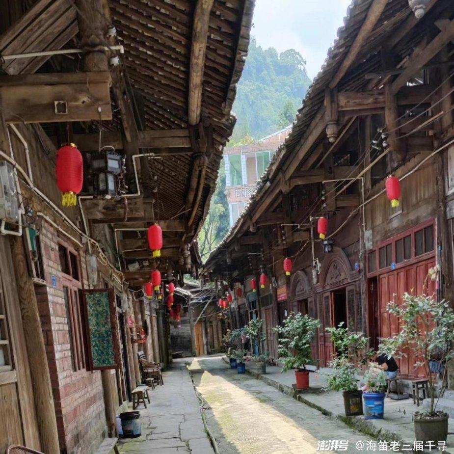 逃出大木屋