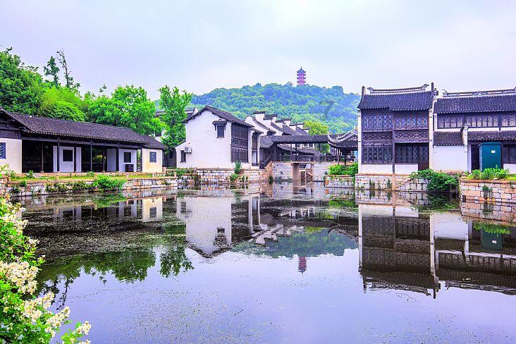 阴暗森林