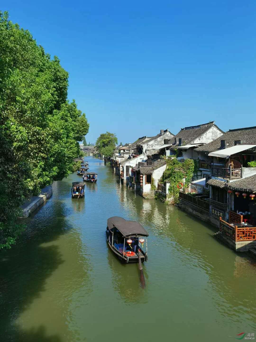 成都一家餐馆推出999元全年免费吃火锅活动,为何引来“圈钱跑路”的质疑