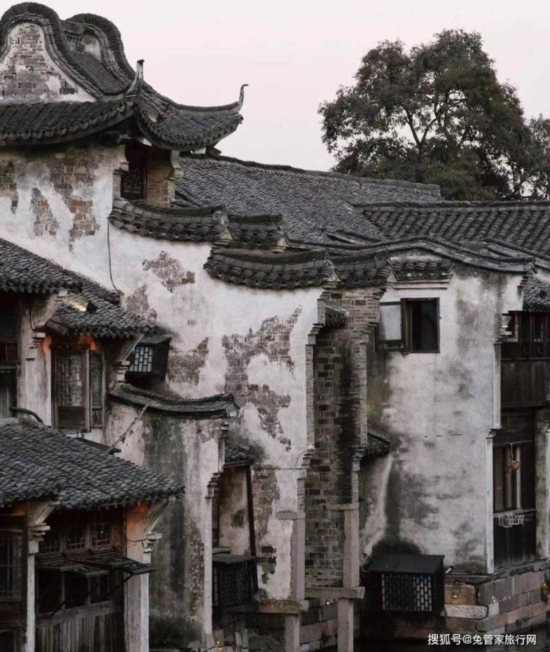逃离水虎鱼湖