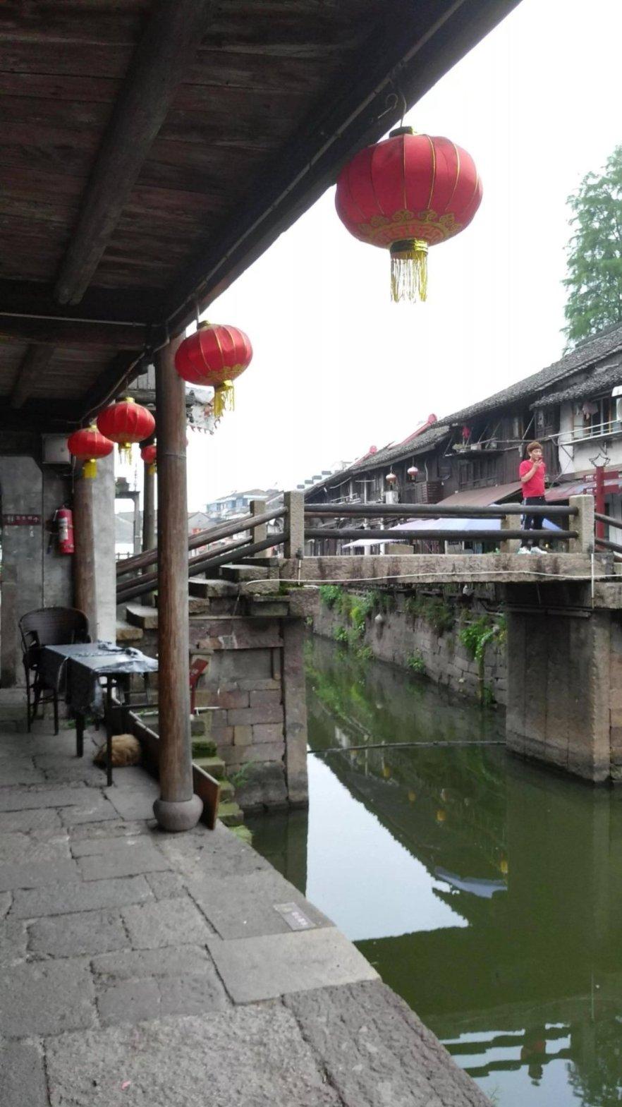 细胞分裂6