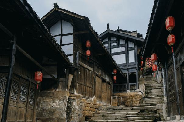 救援小白狼