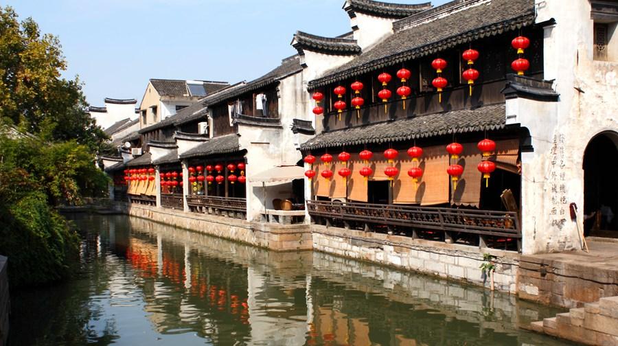 动物帮帮忙保卫家园