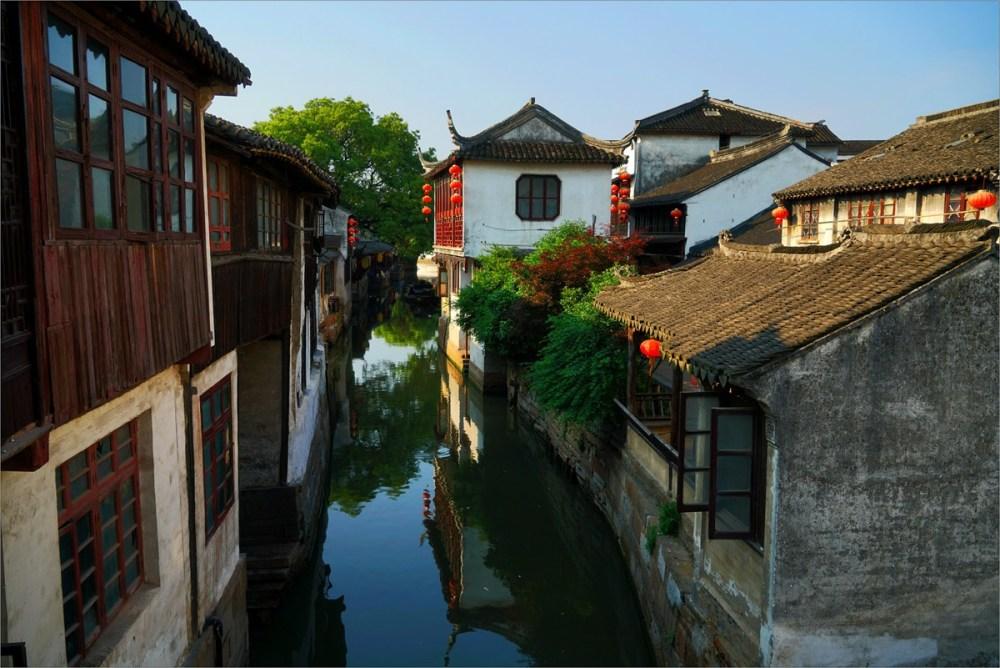 动物帮帮忙保卫家园