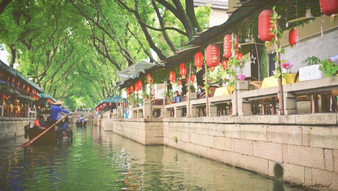 虫虫助手下载