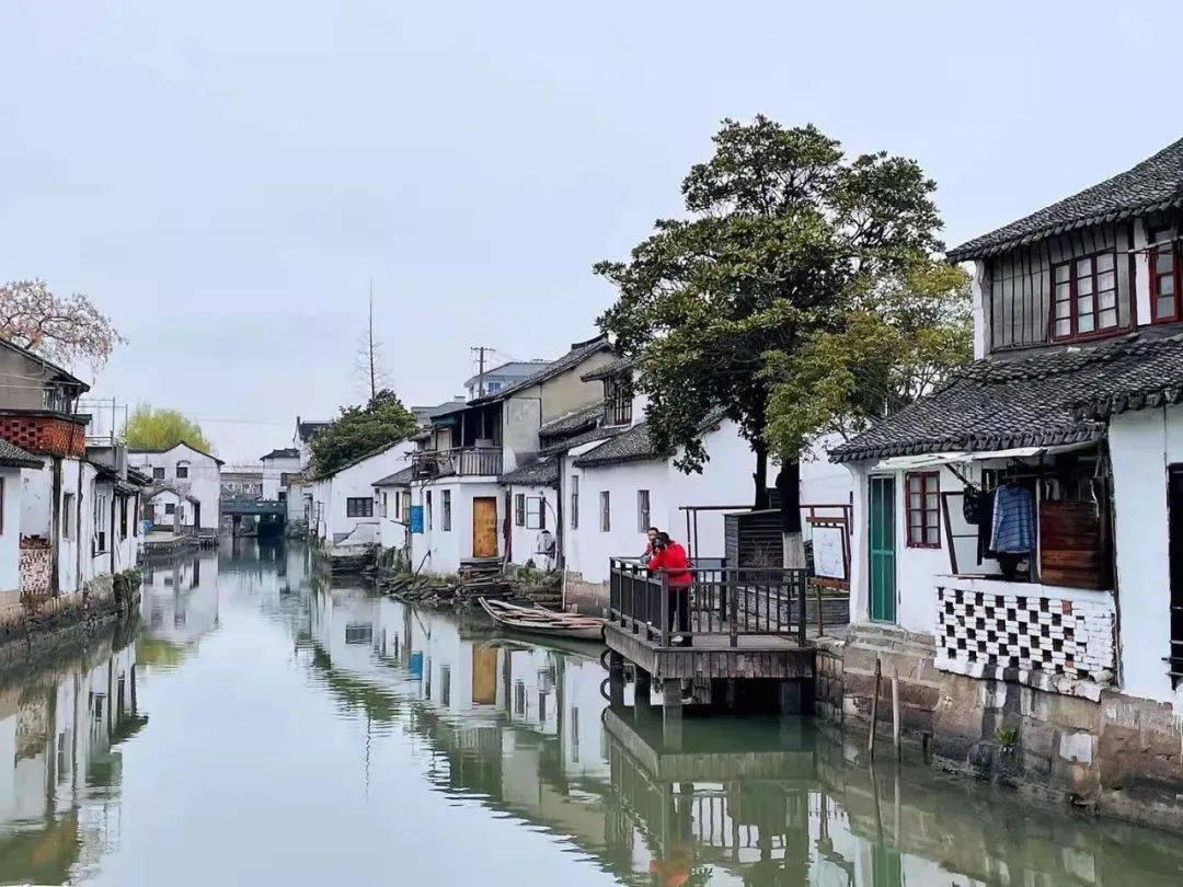 悬案：刹那惊颤