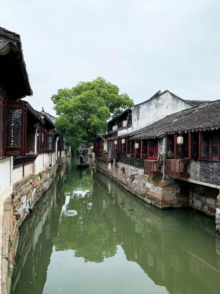 羊吃什么草料最好游戏画面