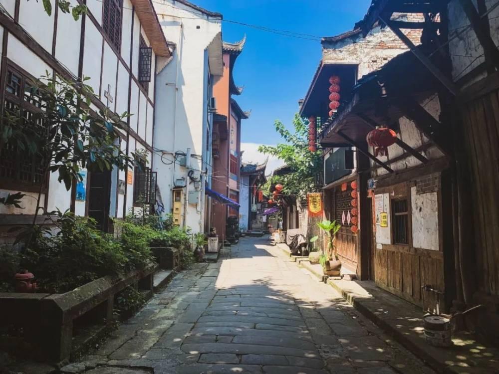 动物帮帮忙保卫家园