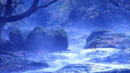 小米手机超越苹果！12月市占率16.5%位列中国市场第一