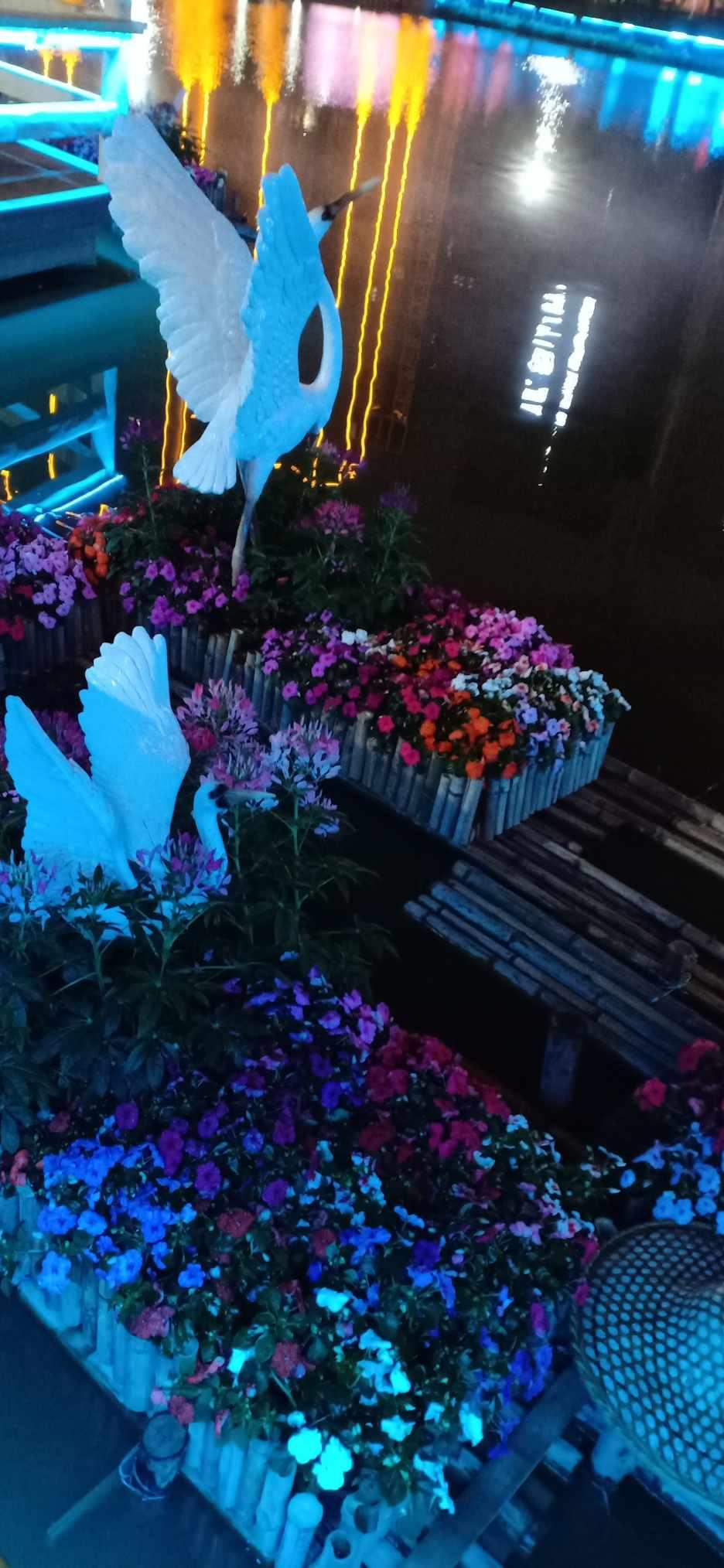 组装机械机甲暴龙2