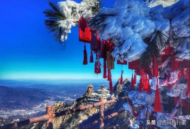 独步竹林